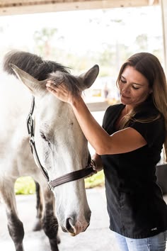 الدبلوم المهني في رعاية الخيل وصحتها ورفاهيتها